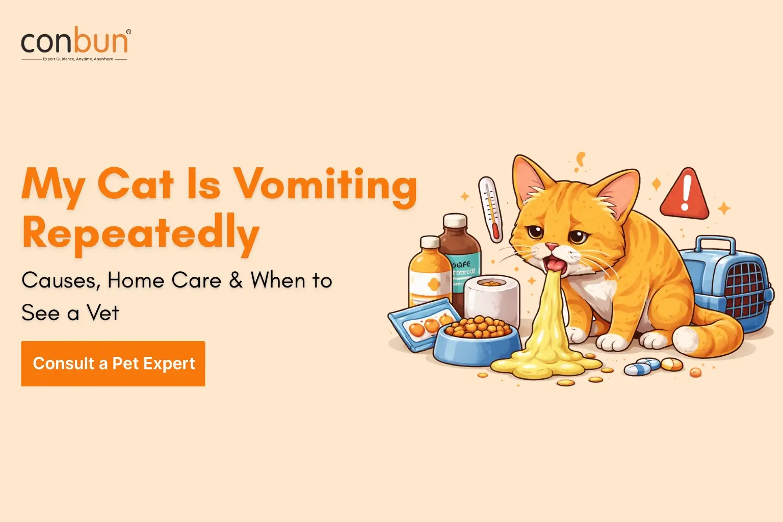 My Cat Is Vomiting Repeatedly: Causes, Home Care & When to See a Vet
